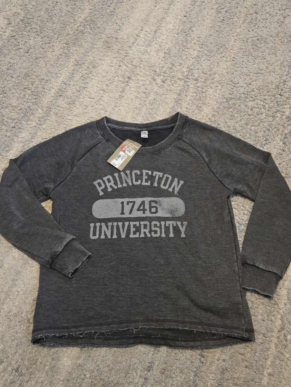 NWT Alternative Earth Princeton University Distressed Crewneck Sweatshirt - M